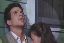 La fievre dans le sang de Elia Kazan_Gremese_9782366771503.jpg