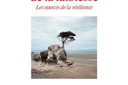 La force de la faiblesse : les sources de la résilience.jpg