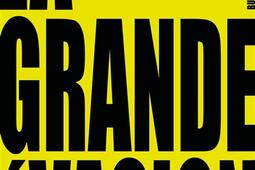 La grande evasion_Buchet Chastel_9782283043905.jpg