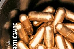 La lisiothecaire_1115 agence de voyages litteraires_9782385630119.jpg