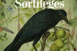 La maison aux sortileges_Pocket_9782266342575.jpg