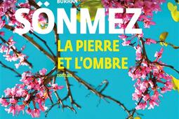 La pierre et lombre_Gallimard.jpg