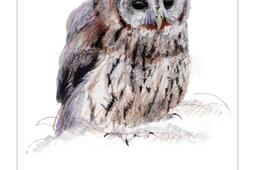 La prairie : la vie privée d'un champ anglais.jpg