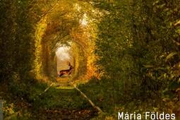 La promenade_Ed des Syrtes_9782940789146.jpg