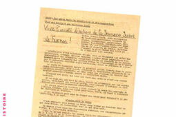 La résistance oubliée des Juifs en France.jpg