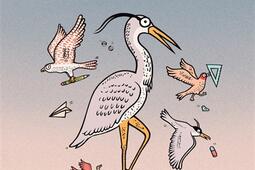 La rentree des oiseaux_Actes Sud jeunesse_9782330181338.jpg