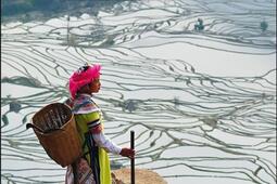 La route du the  du Yunnan et du Sichuan aux confins tibetains_Transboreal.jpg