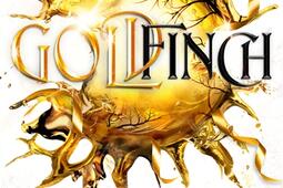 La saga dAuren Vol 6 Goldfinch_Hugo Roman_9791042900342.jpg