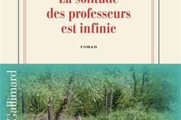 La solitude des professeurs est infinie_Gallimard_9782073161925.jpg