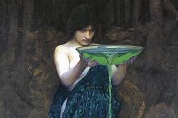 La sorciere_Gallimard_9782070443635.jpg