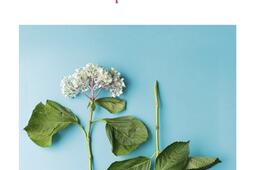 La tendresse des catastrophes_Pocket_9782266354998.jpg