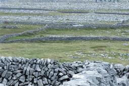 Lamenta des murs_Flammarion_9782080436979.jpg