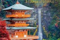 Le Japon a couper le souffle _Larousse.jpg