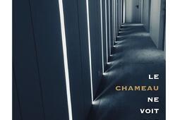 Le chameau ne voit pas sa bosse.jpg