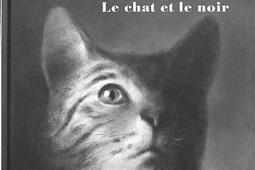 Le chat et le noir.jpg