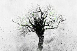 Le choix_le Belial_9782843441424.jpg