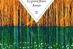 Le grand fleuve Amour_Zulma_9791038703926.jpg
