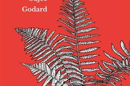 Le jolibois_Double ponctuation_9782490855872.jpg