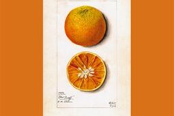 Le livre de la disparition_Globe_9782207188392.jpg