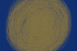 Le mal applique_Vanloo_9791093160962.jpg