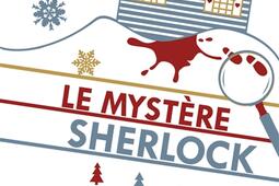 Le mystere Sherlock_Pocket_9782266233552.jpg
