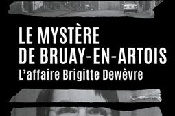 Le mystere de BruayenArtois  laffaire Brigitt_Presses de la Cite_9782258204416.jpg