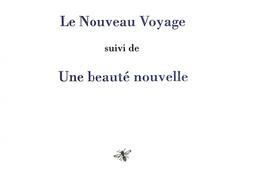 Le nouveau voyage Une beaute nouvelle_Guepine editions_9782491485313.jpg