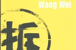 Le paysage après Wang Wei : vingt vues à traits superposés (Chine 2011).jpg