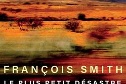 Le plus petit desastre quon puisse imaginer_Actes Sud_9782330219246.jpg