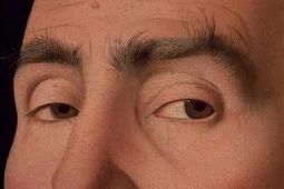 Le sourcil : une histoire d'humains et de poils.jpg