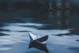 Le tranquille afflige_Bibliotheque quebecoise_9782894065419.jpg