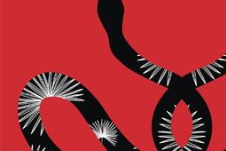 Le vase dor  conte des temps modernes_Gallimard_9782073147172.jpg