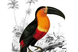 Le vieux a tue cette nuitla_les Ed du Sonneur_9782373853483.jpg