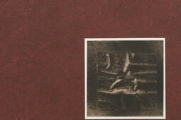 Le voyage extraordinaire. The extraordinary journey. Il viaggio straordinario.jpg