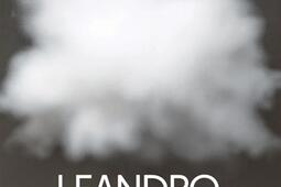 Leandro Erlich  retrospective  Grand Palais_Beauxarts editions_9791020410962.jpg