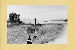 Lee Friedlander Life Still_Aperture_9781597115964.jpg