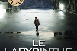 Lepreuve Le labyrinthe  le destin de Newt_Pocket jeunesse_9782266329743.jpg