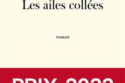 Les ailes collees_Lattes_9782709669535.jpg