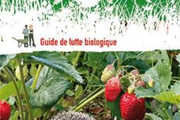 Les animaux utiles au jardin  guide de lutte biol_Quae_9782759232246.jpg