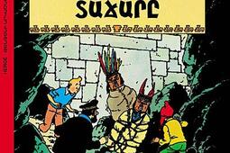 Les aventures de Tintin Vol 14 Le temple du sol_SIGEST_9782952600422.jpg