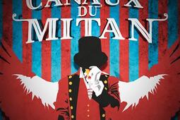 Les canaux du Mitan.jpg