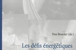 Les defis energetiques du XXIe siecle  transi_PIEPeter Lang_9789052018546.jpg