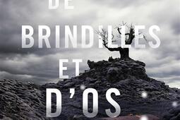 Les enfants indociles. Vol. 2. De brindilles et d'os.jpg