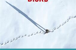 Les enquetes de Qaanaaq Adriensen Disko_Points_9782757878101.jpg