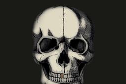 Les fraudes en archeologie prehistorique  avec _J Millon_9782841373505.jpg