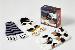 Les goûters de la famille chat chaussettes  chat patounes_First Editions.jpg