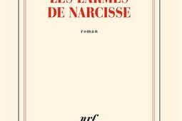 Les larmes de Narcisse_Gallimard_9782073038685.jpg
