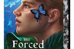 Les liens du destin Vol 4 Forced bonds_Korrigan_9782385161262.jpg