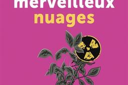 Les merveilleux nuages  que faire du nucleaire _Seuil_9782021531497.jpg