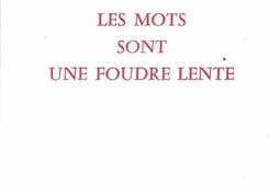 Les mots sont une foudre lente_Rougerie_9782856684214.jpg